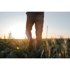 Jachtlaarzen Renfort 540 Met Rits -Mode Verkoop jachtlaarzen renfort 540 met rits 6