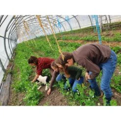 OVERHEMD 100 -Mode Verkoop overhemd 100 rood 12