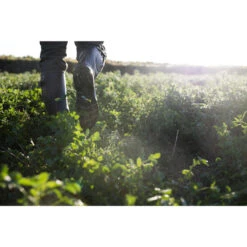 Rubberlaarzen Met Plooi 520 13 Rubberlaarzen Met Plooi 520 -Mode Verkoop rubberlaarzen met plooi 520 5