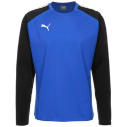 Sweatshirt Puma Teamliga
