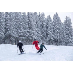 WEDZE WARME SKI-JAS VOOR HEREN 500 -Mode Verkoop warme ski jas voor heren 500 zwart 17